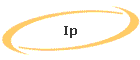 Ip